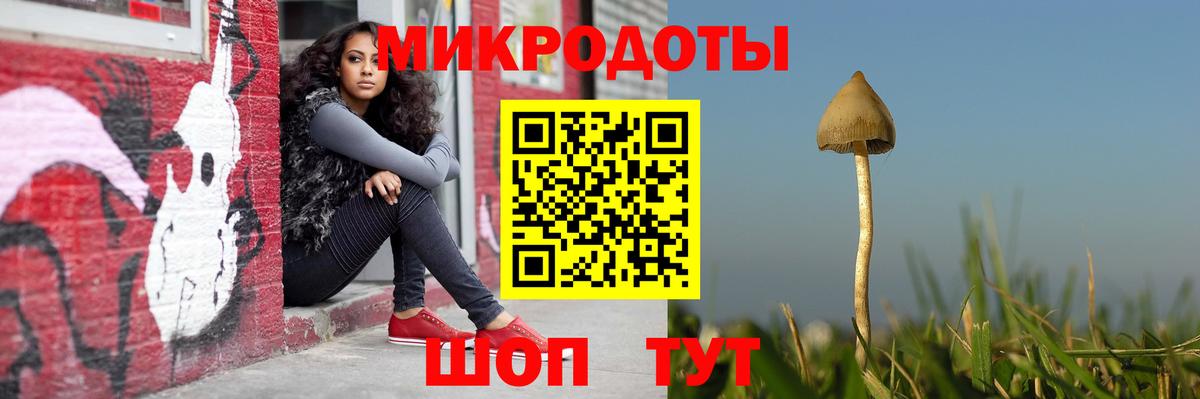 Похвистнево  Галлюциногенные грибы прущие грибы  Вход с VPN 